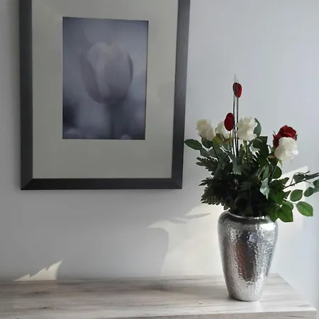 Gemuetliche Monteurwohnung In *